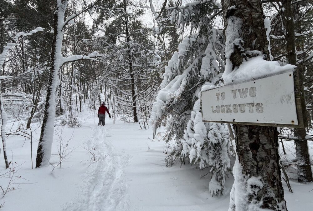 UP Yours, Winter Sports