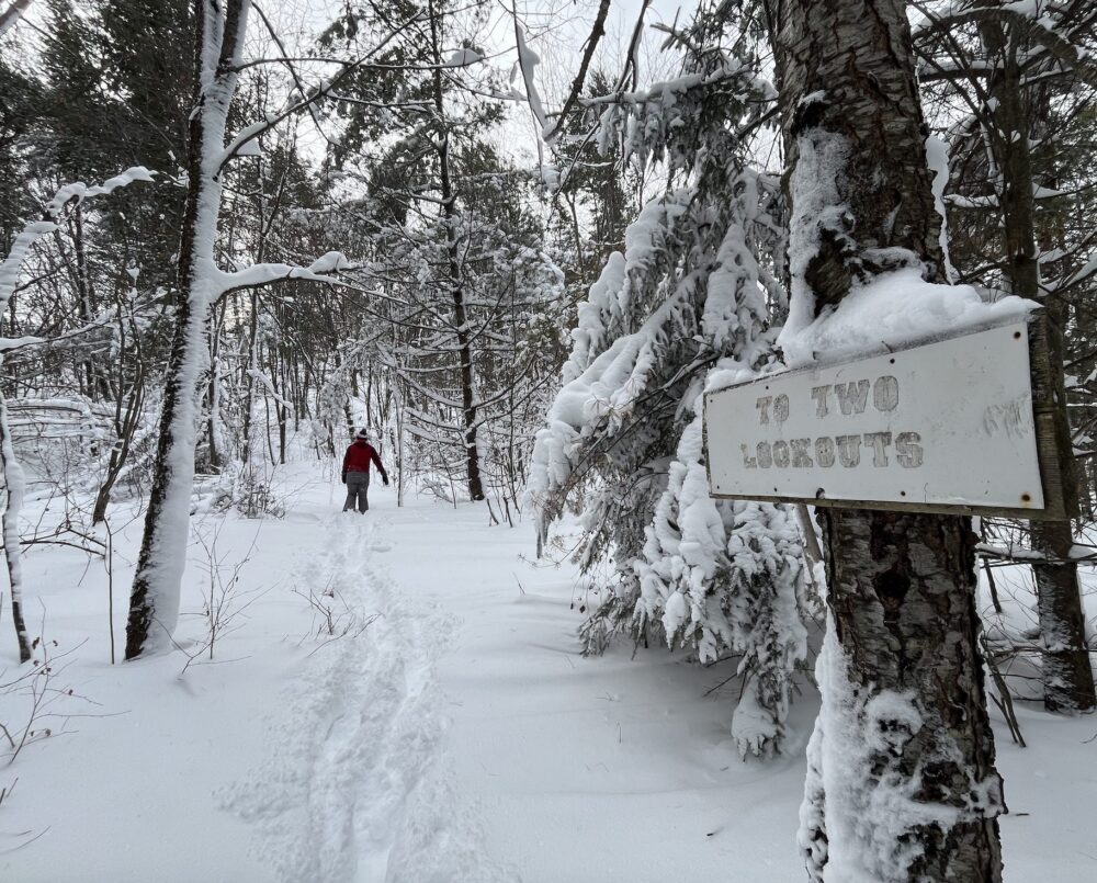 UP Yours, Winter Sports